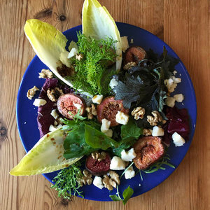 Fig+salad SEED Cafe - Healthy Food
