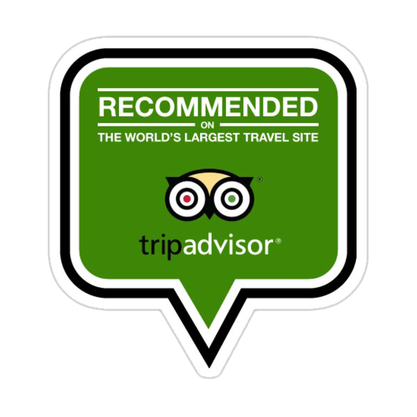 Trip Advisor Logo